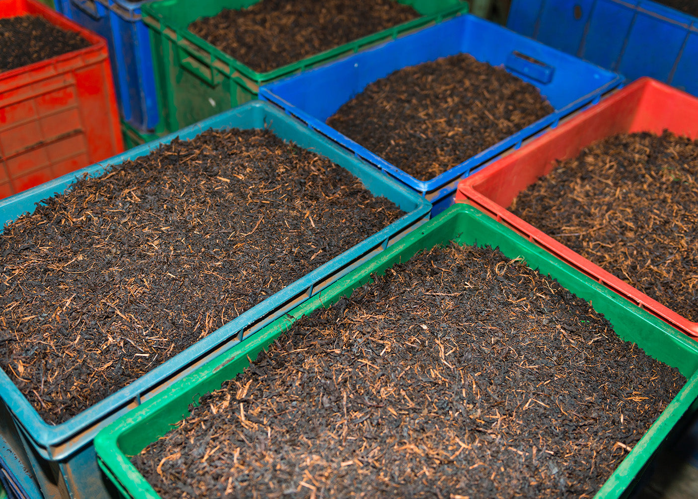 Widely consumed drink